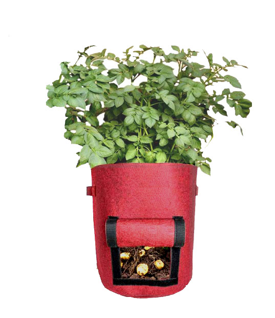 Geo Fabric Potato Grow Bag 15 x 12 inches Soil Volume ~ 30 litters (500  GSM) - Agrisetu E-Market